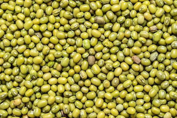 Grön Böna Eller Mung Bean Textur Bakgrund Tapet Mönster — Stockfoto