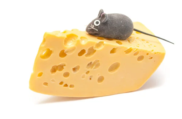 Käse Und Maus Auf Weißem Hintergrund — Stockfoto