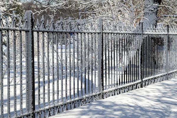 冬の公園の雪の中の金属鍛造フェンス 冬の風景 — ストック写真