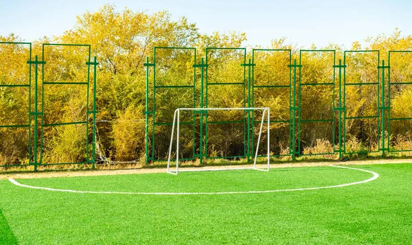 Futsal Campo Fútbol Césped Artificial Naturaleza Otoño —  Fotos de Stock