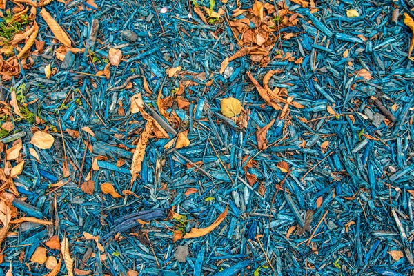 Serragem Azul Lascas Madeira Chão Controle Pragas — Fotografia de Stock
