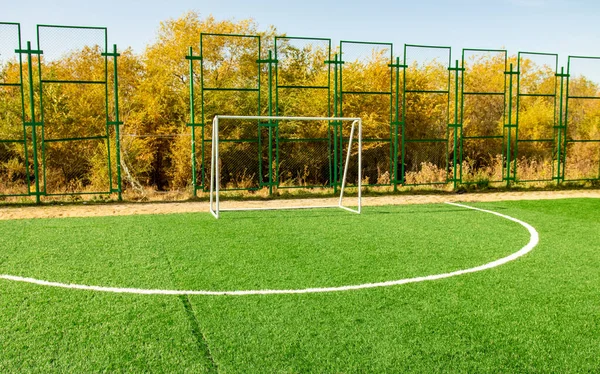 Futsal Boisko Piłki Nożnej Sztuczna Trawa Jesiennej Przyrody — Zdjęcie stockowe