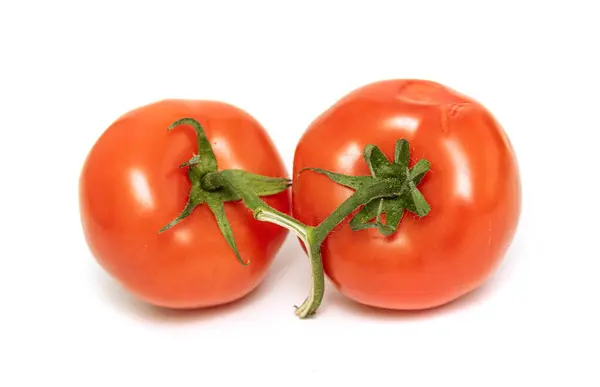 Deux Tomates Rouges Sur Une Branche Verte Sur Fond Blanc — Photo