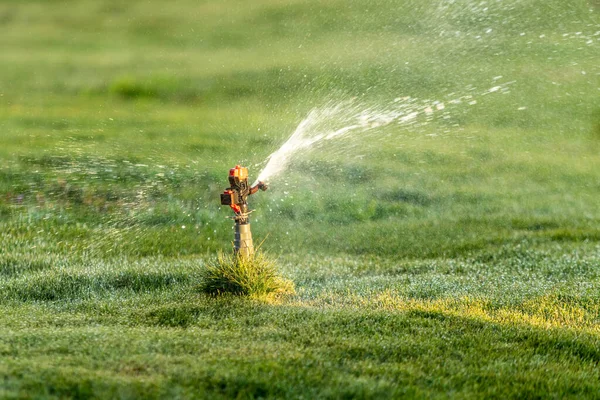 Irrigation System Watering Green Grass Blurred Background — Stock Photo, Image