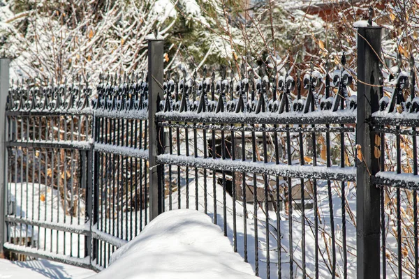 Cerca Forjada Metal Neve Parque Inverno Paisagem Inverno — Fotografia de Stock