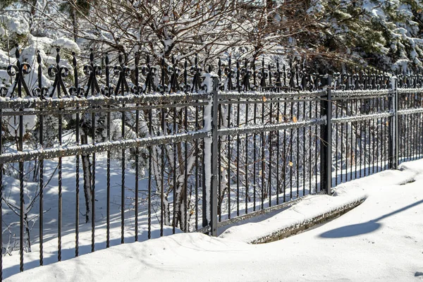 冬の公園の雪の中の金属鍛造フェンス 冬の風景 — ストック写真