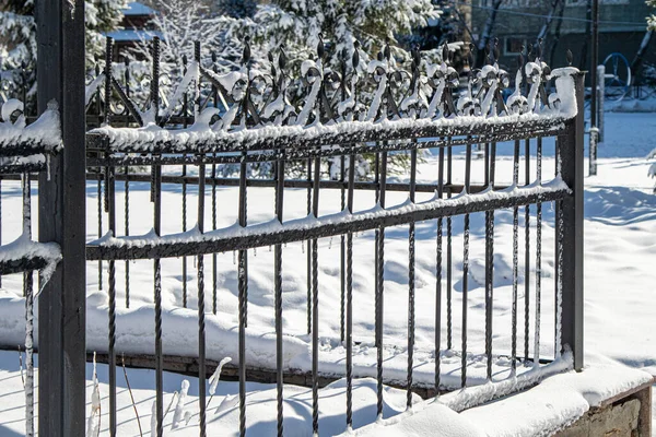 Kış Parkındaki Karda Metal Dövmeli Çitler Kış Manzarası — Stok fotoğraf