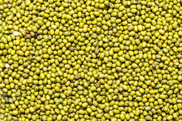 Grön Böna Eller Mung Bean Textur Bakgrund Tapet Mönster — Stockfoto