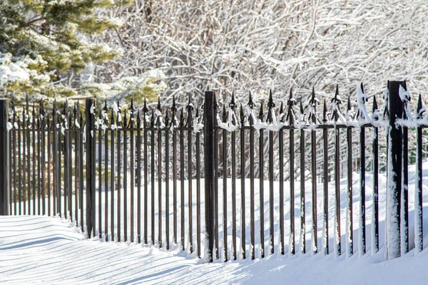 Metalen Gesmeed Hek Sneeuw Winter Park Winterlandschap — Stockfoto