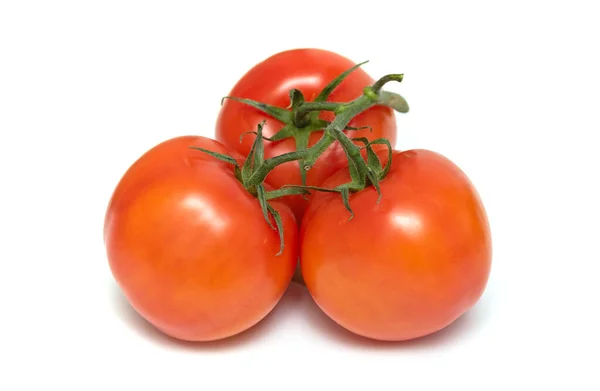 Tomates Rojos Aislados Sobre Fondo Blanco —  Fotos de Stock
