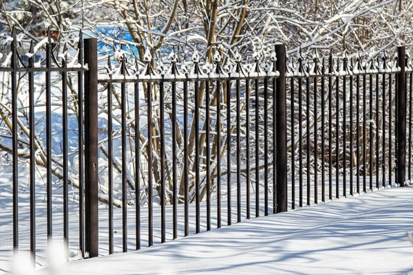 Metalen Gesmeed Hek Sneeuw Winter Park Winterlandschap — Stockfoto