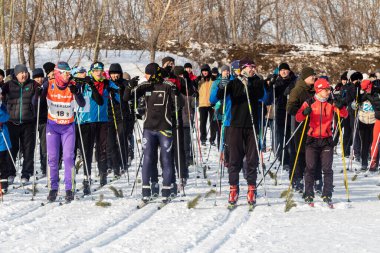 Petropavlovsk, Kazakistan - 29 Şubat 2020: Erkekler ve kadınlar, çocuklar kışın ormanda kayak yapıyor. Güneşli kış manzarası, kayak. Petropavlovsk, Kazakistan.