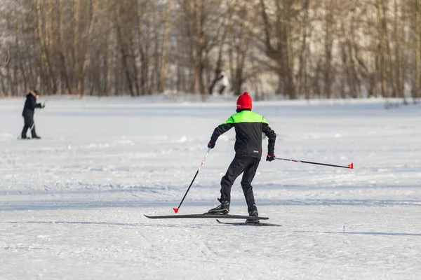 페트로 파블롭스크 카자흐스탄 2020 사람들 숲에서 스키를 — 스톡 사진