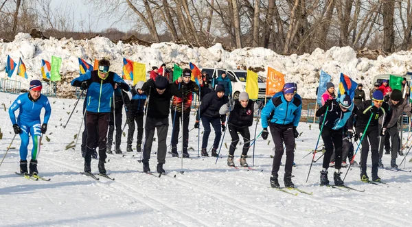 Petropavlovsk, Kazakistan - 29 Şubat 2020: Erkekler ve kadınlar, çocuklar kışın ormanda kayak yapıyor. Güneşli kış manzarası, kayak. Petropavlovsk, Kazakistan.