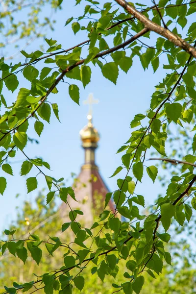 Golden Crosses Orthodox Church Green Leaves Tree Out Focus — Stock Photo, Image