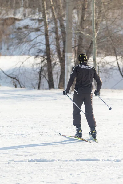 カザフスタンのペトロパブロフスク 2020年2月29日 人々は冬の森の中でスキーをしています 晴れた冬の風景 スキー — ストック写真