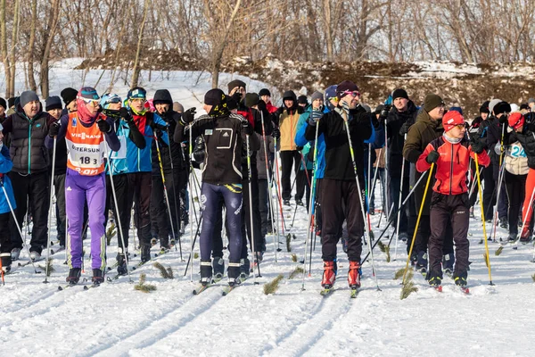 Petropavlovsk, Kazakistan - 29 Şubat 2020: Erkekler ve kadınlar, çocuklar kışın ormanda kayak yapıyor. Güneşli kış manzarası, kayak. Petropavlovsk, Kazakistan.