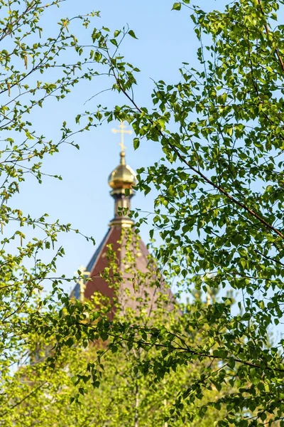 Golden Crosses Orthodox Church Green Leaves Tree Out Focus — Stock Photo, Image