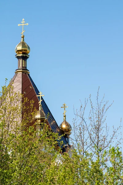 Golden Crosses Orthodox Church Green Leaves Tree Out Focus — Stock Photo, Image