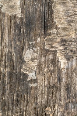 Eski ahşap dokular, arka plan, ahır tahtaları.