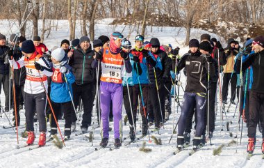Petropavlovsk, Kazakistan - 29 Şubat 2020: Erkekler ve kadınlar, çocuklar kışın ormanda kayak yapıyor. Güneşli kış manzarası, kayak. Petropavlovsk, Kazakistan.