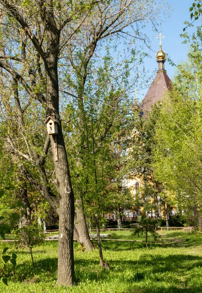 Golden Crosses Orthodox Church Green Leaves Tree Out Focus — Stock Photo, Image