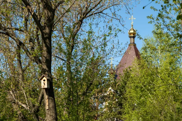 Golden Crosses Orthodox Church Green Leaves Tree Out Focus — Stock Photo, Image