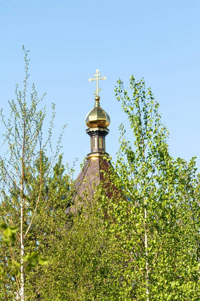 Golden crosses of the Orthodox Church in the green leaves of a tree, out of focus.