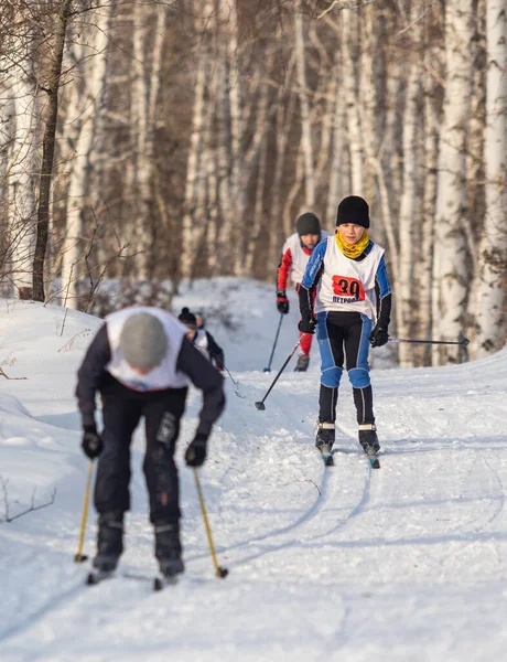 Petropavlovsk Cazaquistão Fevereiro 2020 Crianças Idade Escolar Estão Esquiando Floresta — Fotografia de Stock