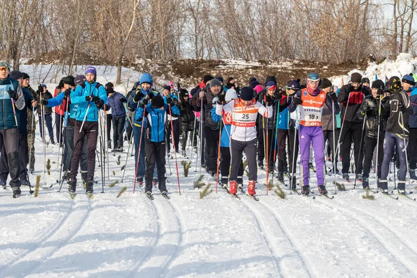 Petropavlovsk, Kazakistan - 29 Şubat 2020: Erkekler ve kadınlar, çocuklar kışın ormanda kayak yapıyor. Güneşli kış manzarası, kayak. Petropavlovsk, Kazakistan.