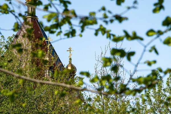 Golden Crosses Orthodox Church Green Leaves Tree Out Focus — Stock Photo, Image