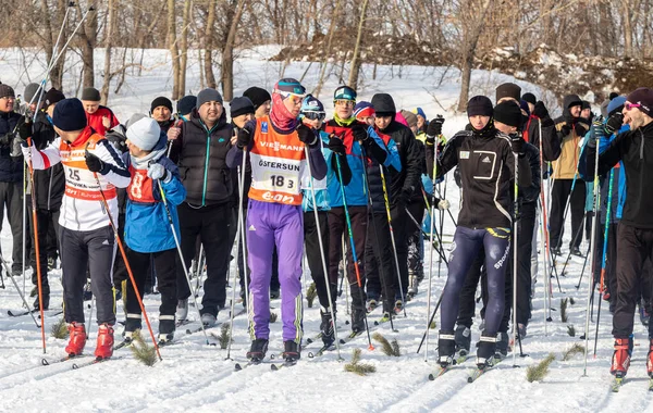 Petropavlovsk, Kazakistan - 29 Şubat 2020: Erkekler ve kadınlar, çocuklar kışın ormanda kayak yapıyor. Güneşli kış manzarası, kayak. Petropavlovsk, Kazakistan.