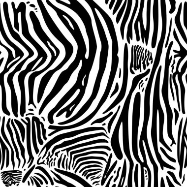 zebra izi deseni.