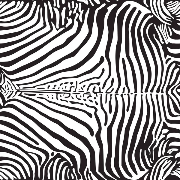 Padrão de impressão zebra — Vetor de Stock