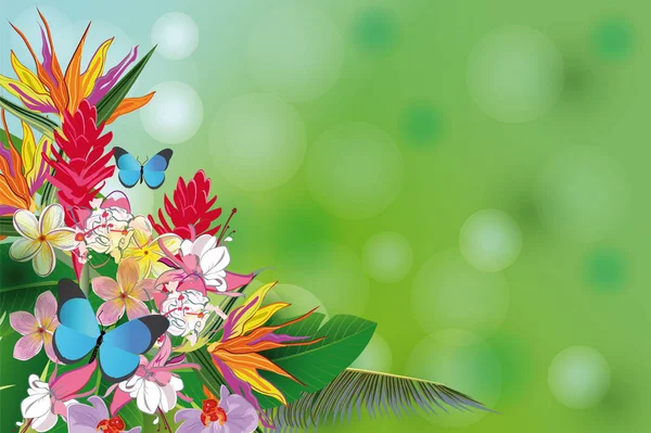 Bakgrund med palmer och blommor. — Stockfoto