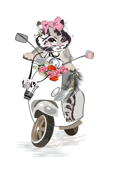 Chat de mode béatifique sur le scooter avec un appareil photo, décoré de fleurs . — Image vectorielle