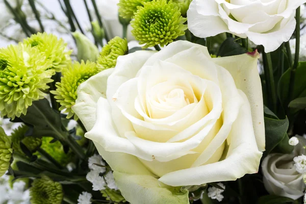 Beyaz güller yakın çekim — Stok fotoğraf