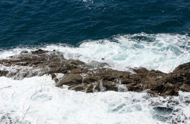 Caleta Negra kumsalda Ajuy Fuerteventura üzerinde bulunan bir kaya üzerine sıçramasına el salla. Kanarya Adası, 