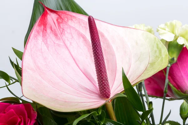 Vacker bukett från färska röda rosor och anthurium — Stockfoto