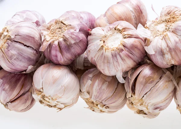 String of garlic isolated on white background — Stock Photo, Image