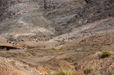 Fuerteventura üzerinde güzel volkanik dağlar. Kanarya Adaları. Fuerteventura. Kanarya Adaları
