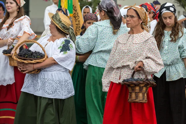 เทศกาลไวน์มาเดรา - ขบวนพาเหรดทางประวัติศาสตร์และเชื้อชาติใน Funchal on Madeira โปรตุเกส — ภาพถ่ายสต็อก