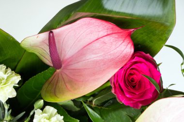 güzel buket taze kırmızı güller ve Antoryum