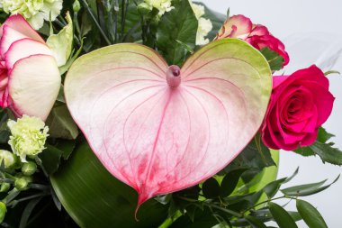 güzel buket taze kırmızı güller ve Antoryum