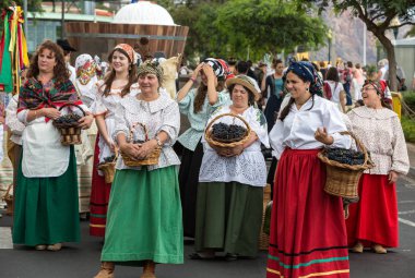 Madeira Madeira Funchal içinde şarap Festivali - tarihsel ve etnografik geçit töreni. Portekiz