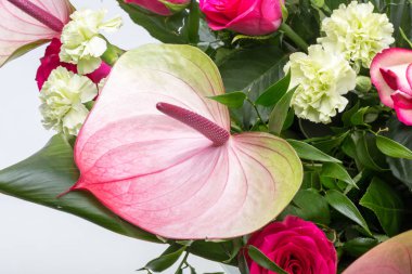 güzel buket taze kırmızı güller ve Antoryum