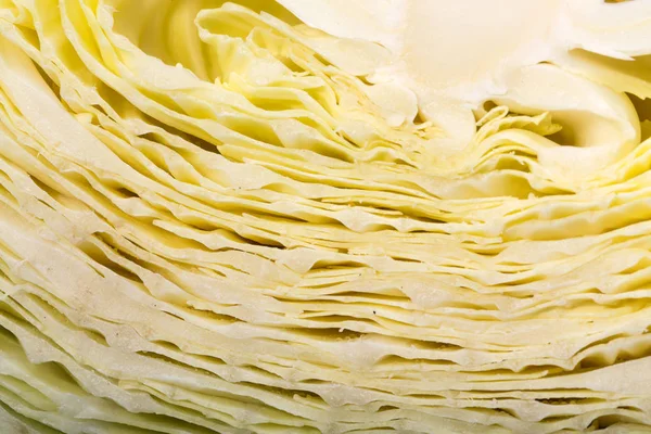 The white  cabbage, — Stock Photo, Image