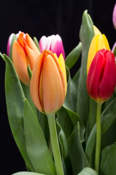 Красочный букет свежих весенних цветов тюльпана — стоковое фото