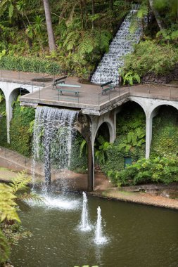  Monte Palace Tropican Bahçe Madeira, Portekiz.