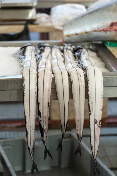 Fish on market, black scabbard (espada) in fish market — Stock Photo, Image